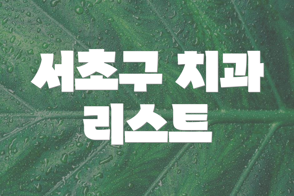 서초구 치과 리스트