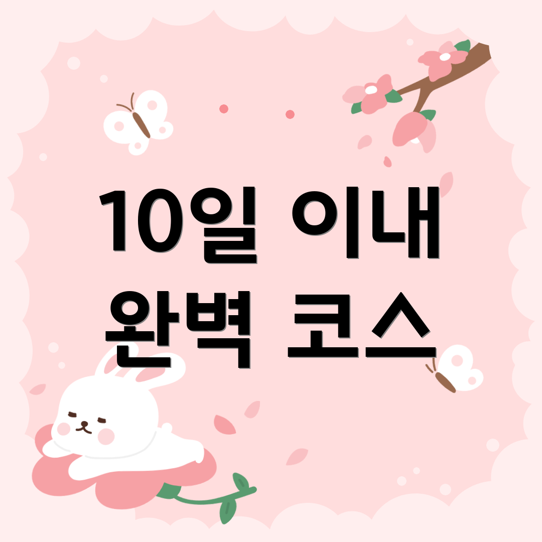 10일 이내 완벽 코스