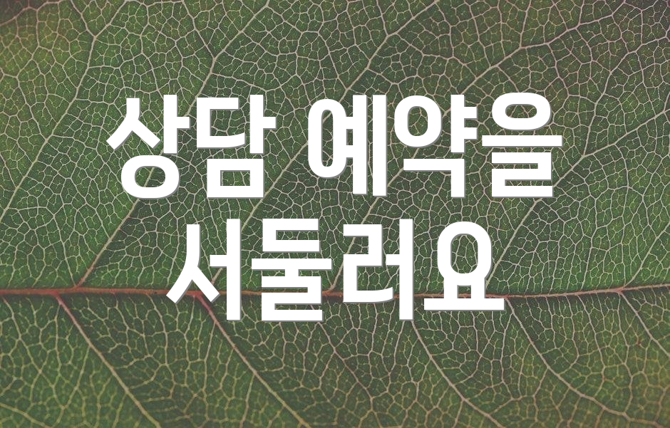 상담 예약을 서둘러요