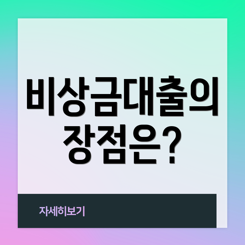 비상금대출의 장점은?