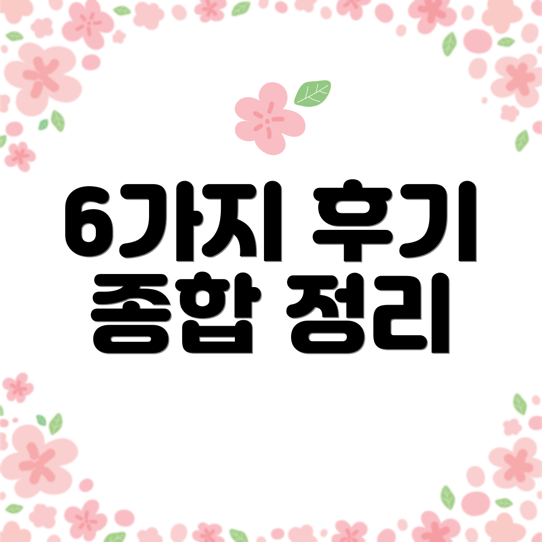 6가지 후기 종합 정리