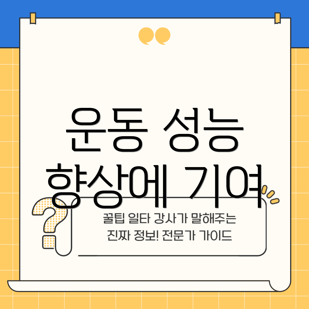 운동 성능 향상에 기여