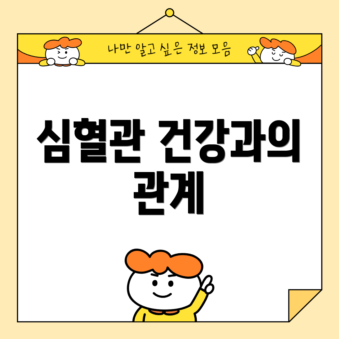 심혈관 건강과의 관계