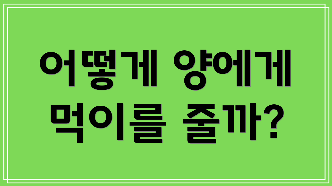 어떻게 양에게 먹이를 줄까?