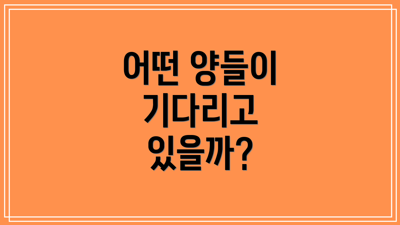 어떤 양들이 기다리고 있을까?