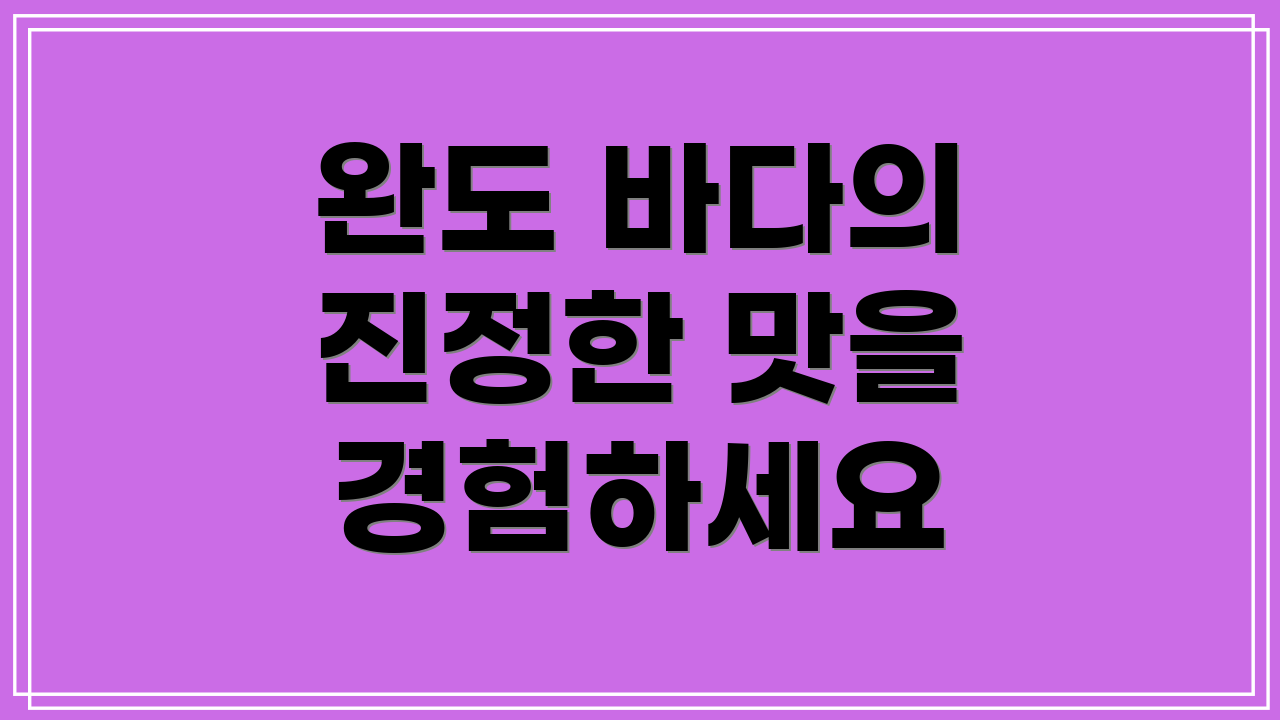 완도 바다의 진정한 맛을 경험하세요