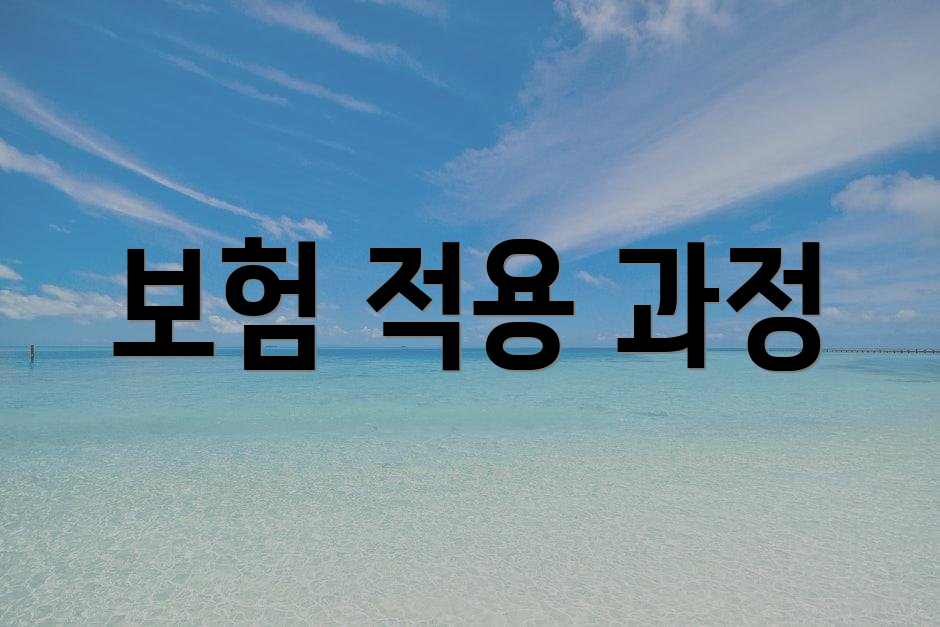 보험 적용 과정