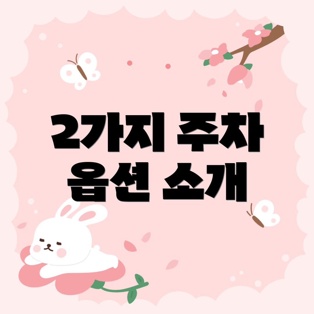 2가지 주차 옵션 소개