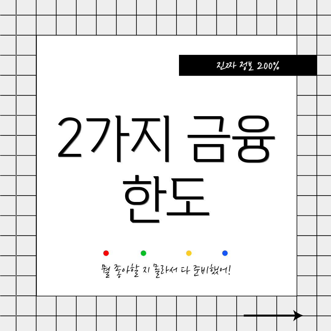 2가지 금융 한도
