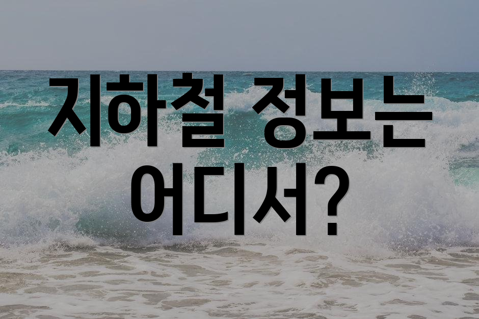 지하철 정보는 어디서?