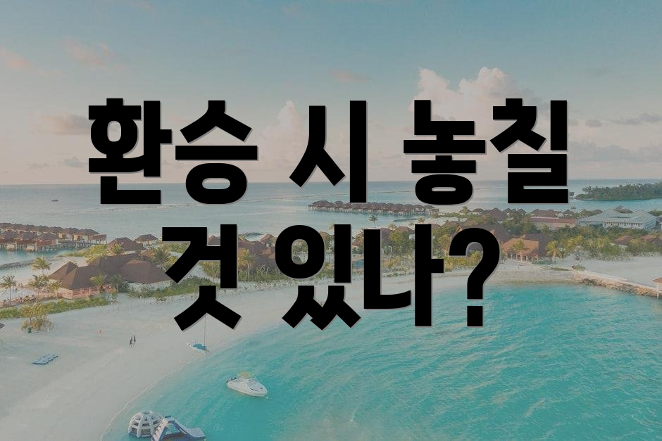 환승 시 놓칠 것 있나?