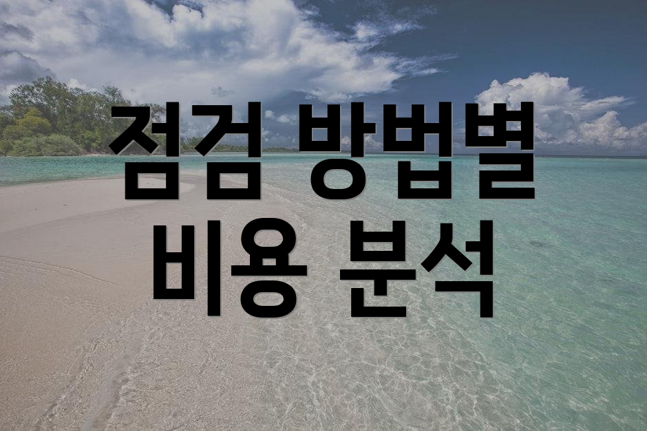 점검 방법별 비용 분석