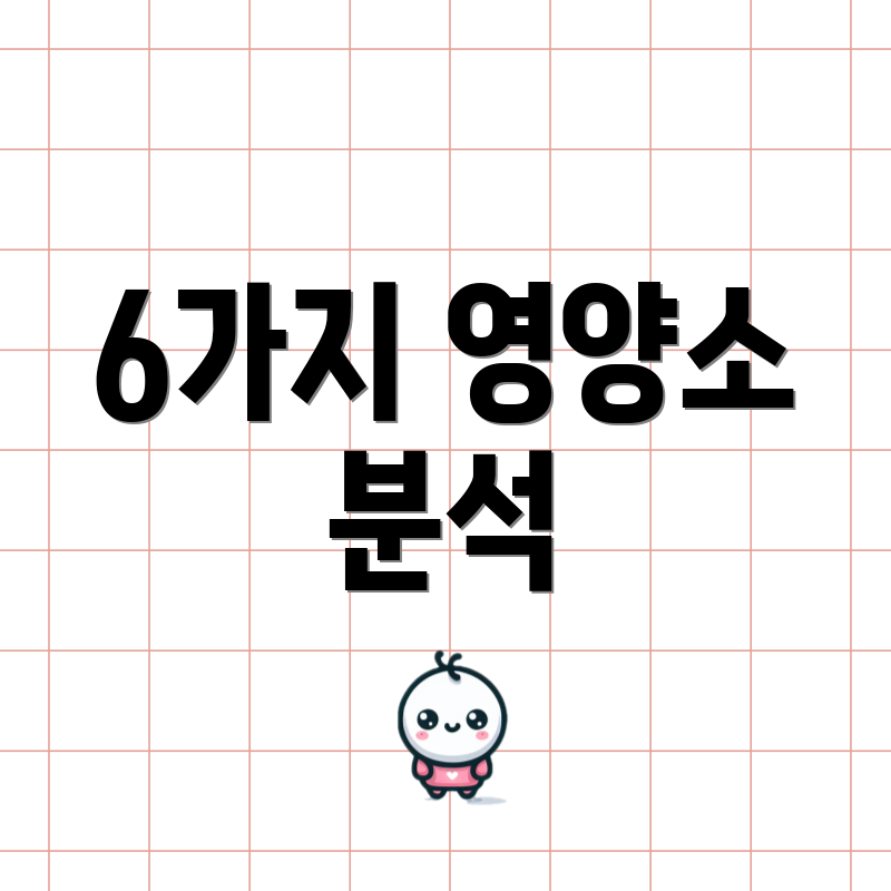 6가지 영양소 분석
