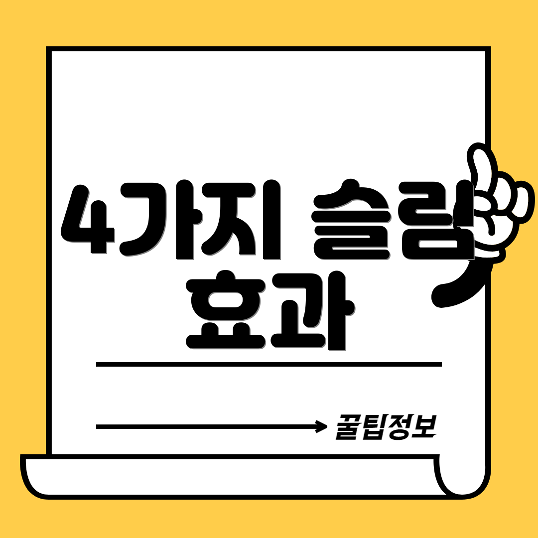 4가지 슬림 효과