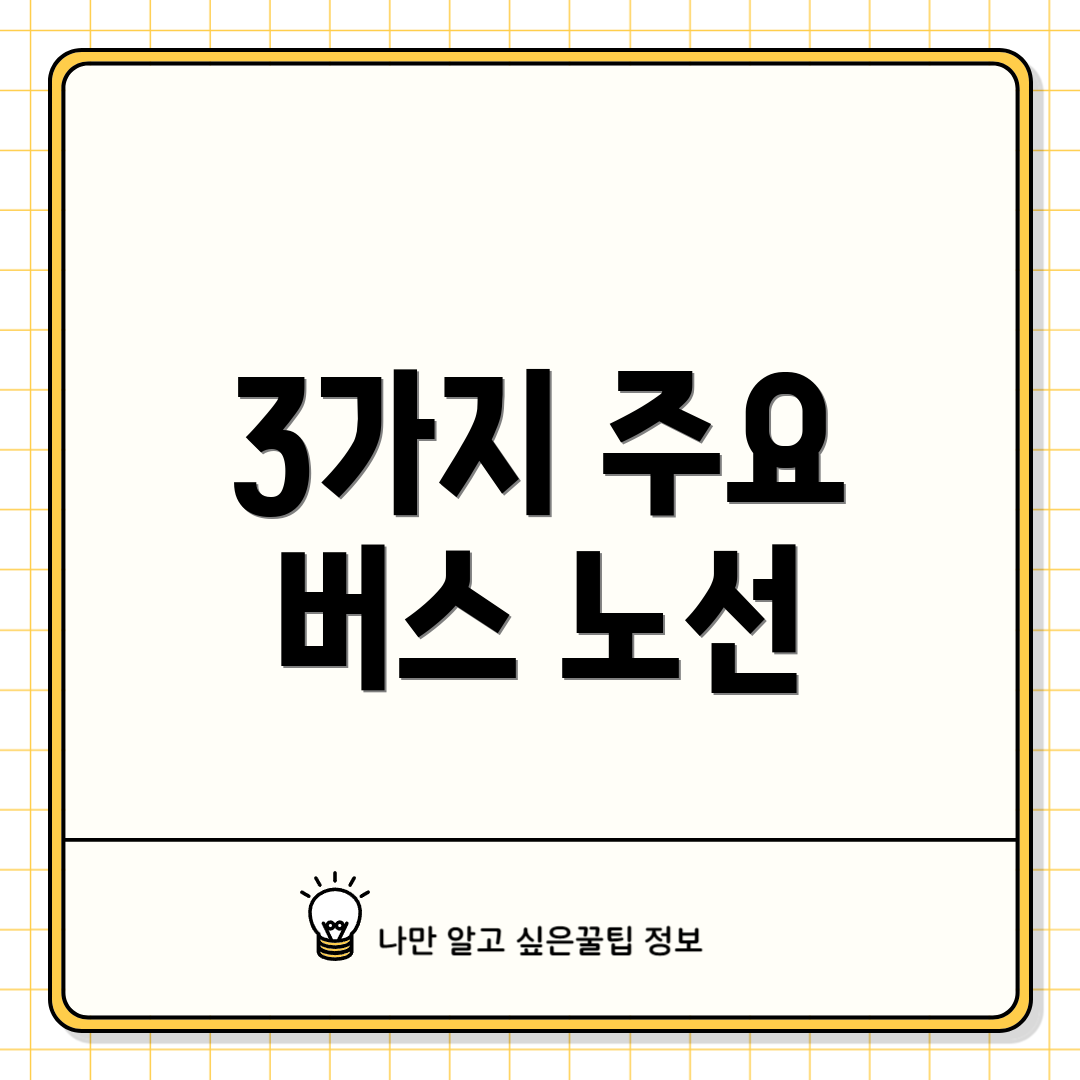 3가지 주요 버스 노선