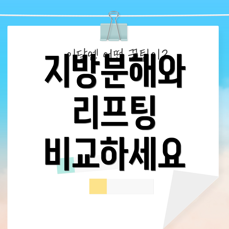 지방분해와 리프팅 비교하세요