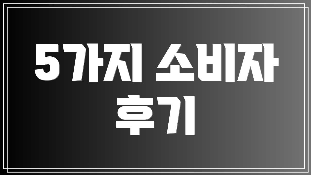 5가지 소비자 후기