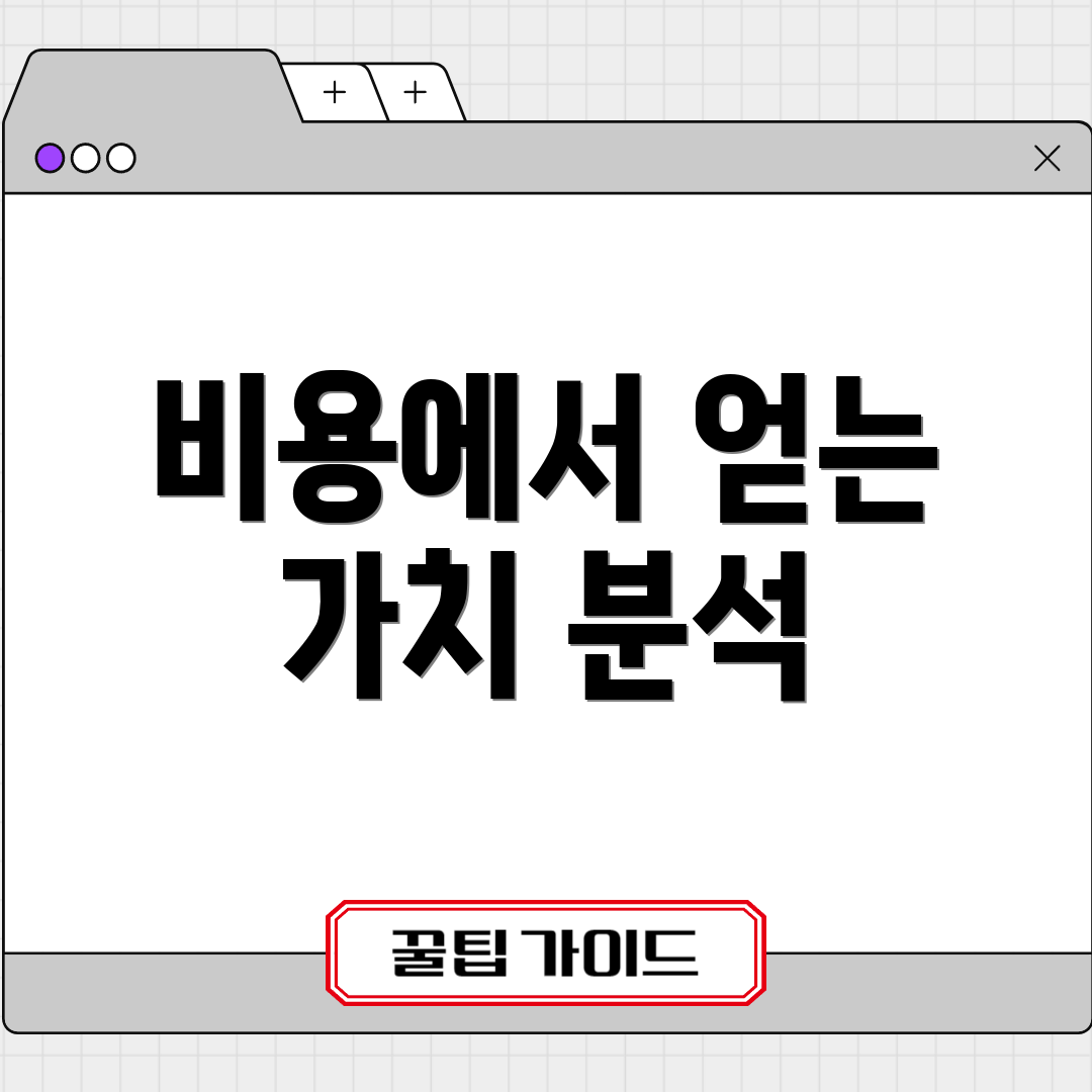 비용에서 얻는 가치 분석