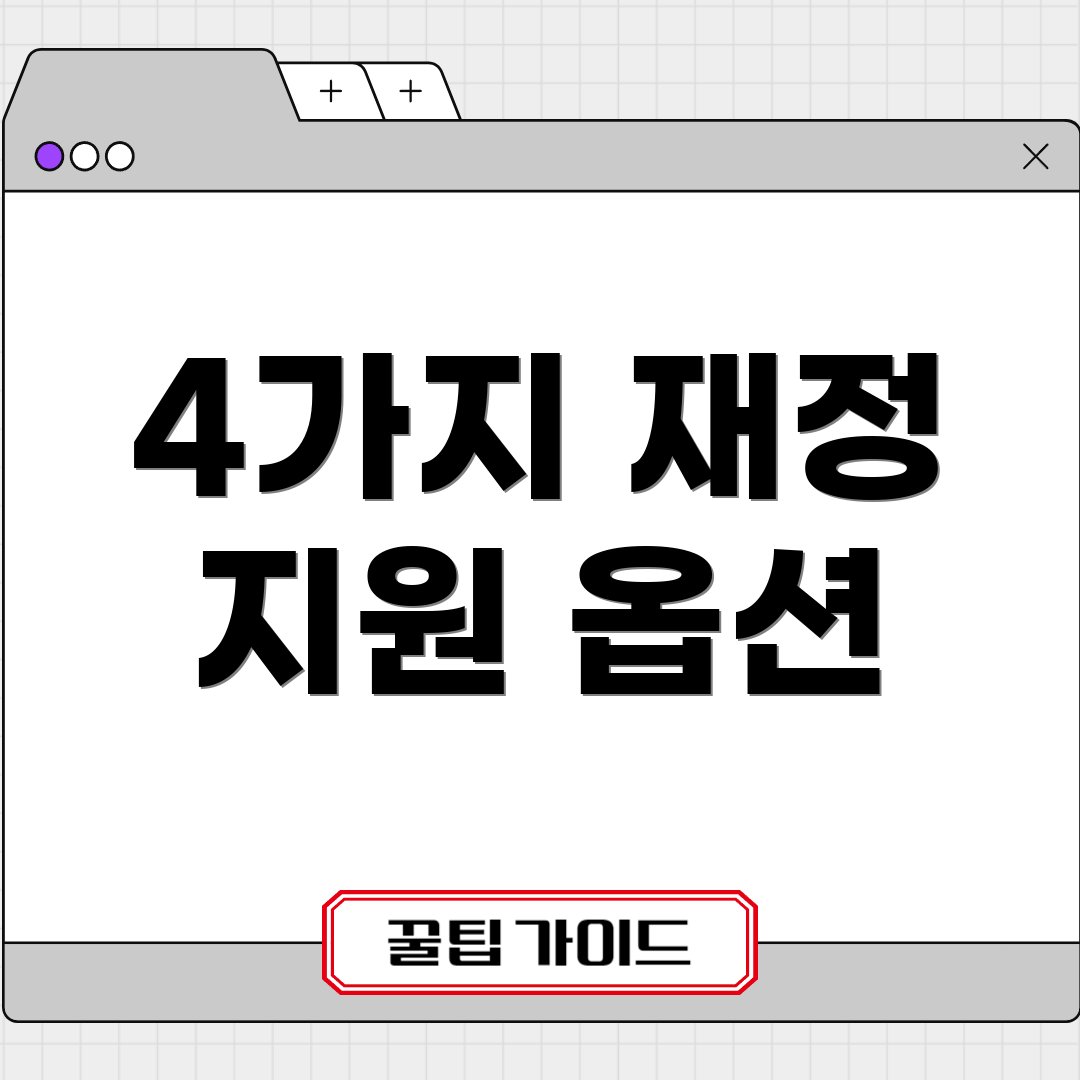 4가지 재정 지원 옵션