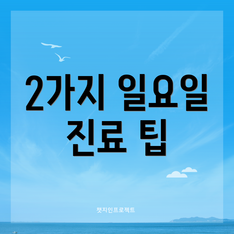 2가지 일요일 진료 팁