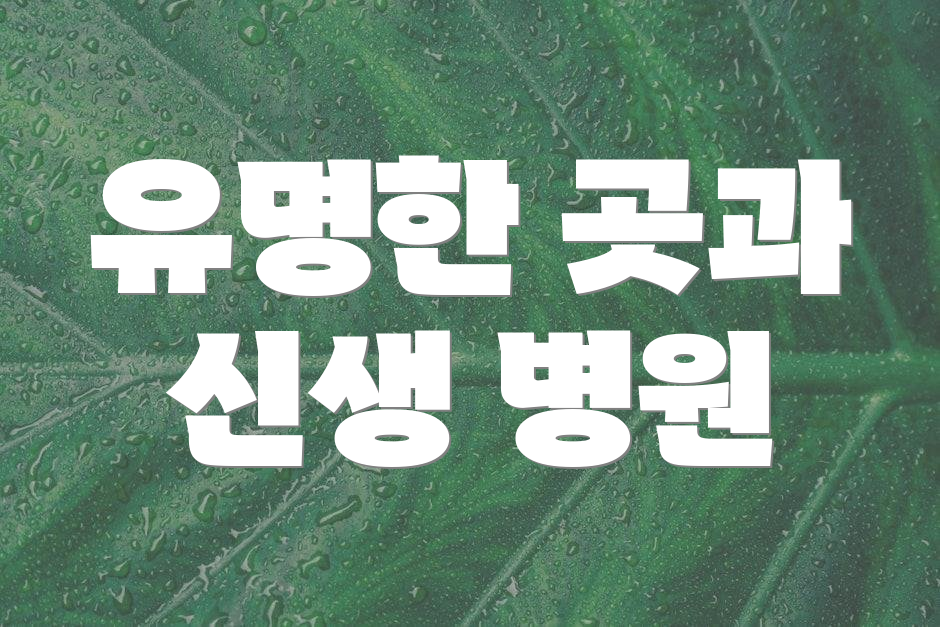 유명한 곳과 신생 병원