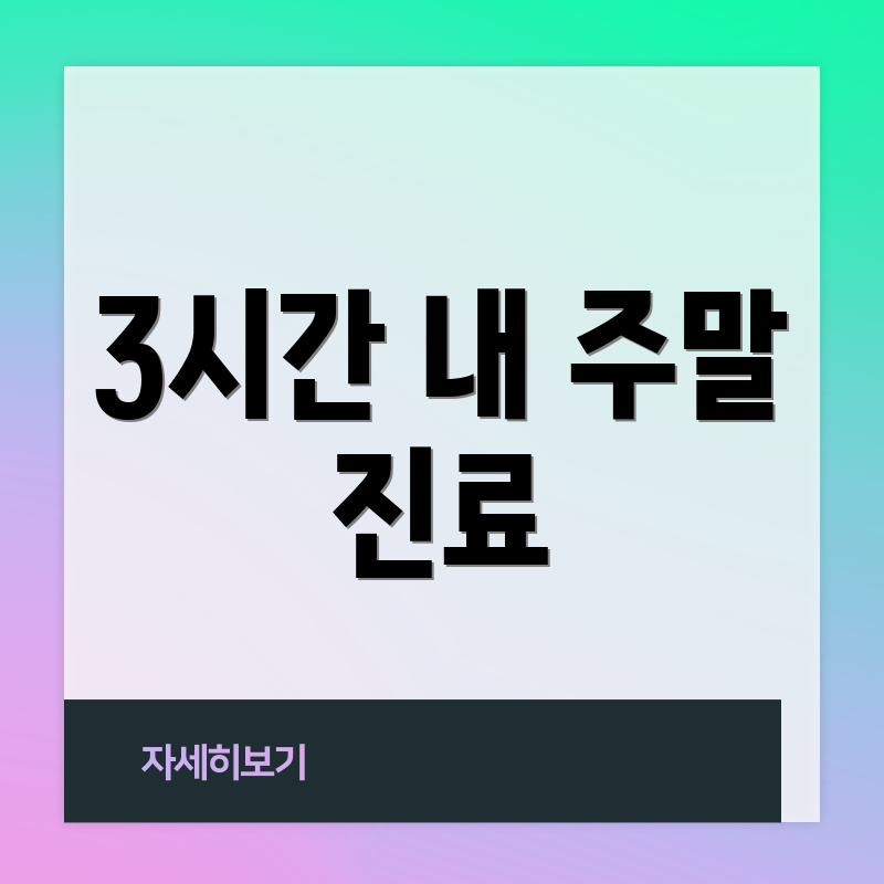 3시간 내 주말 진료