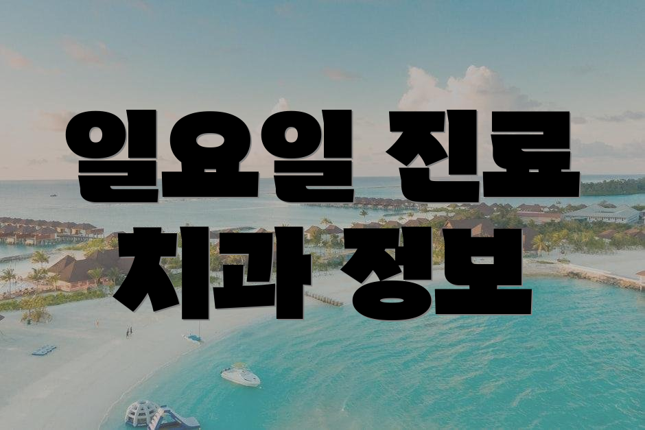 일요일 진료 치과 정보