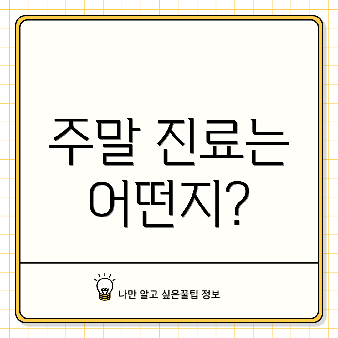 주말 진료는 어떤지?