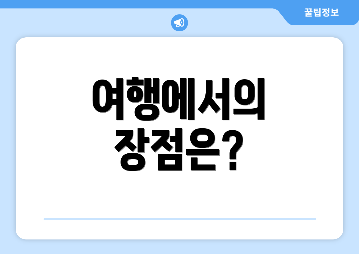 여행에서의 장점은?