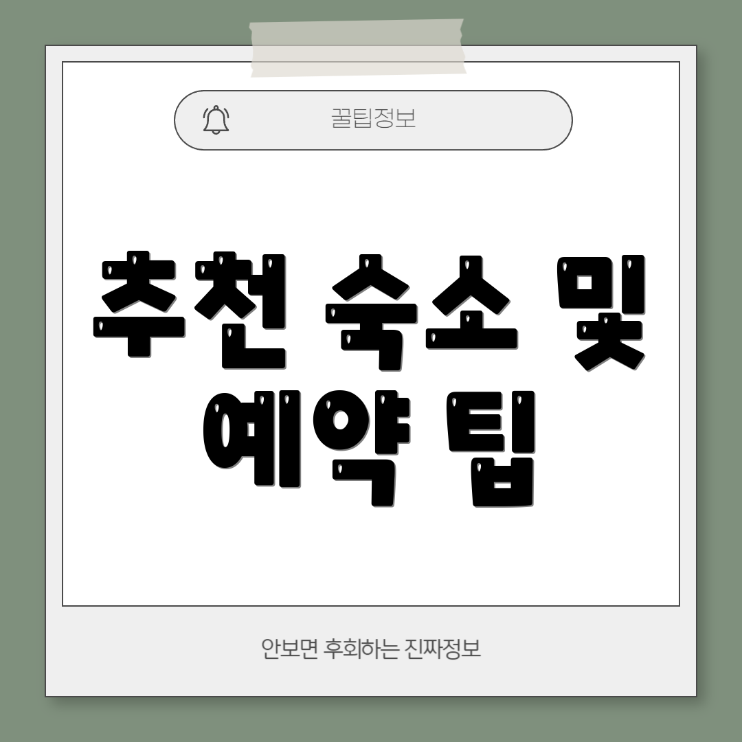 추천 숙소 및 예약 팁