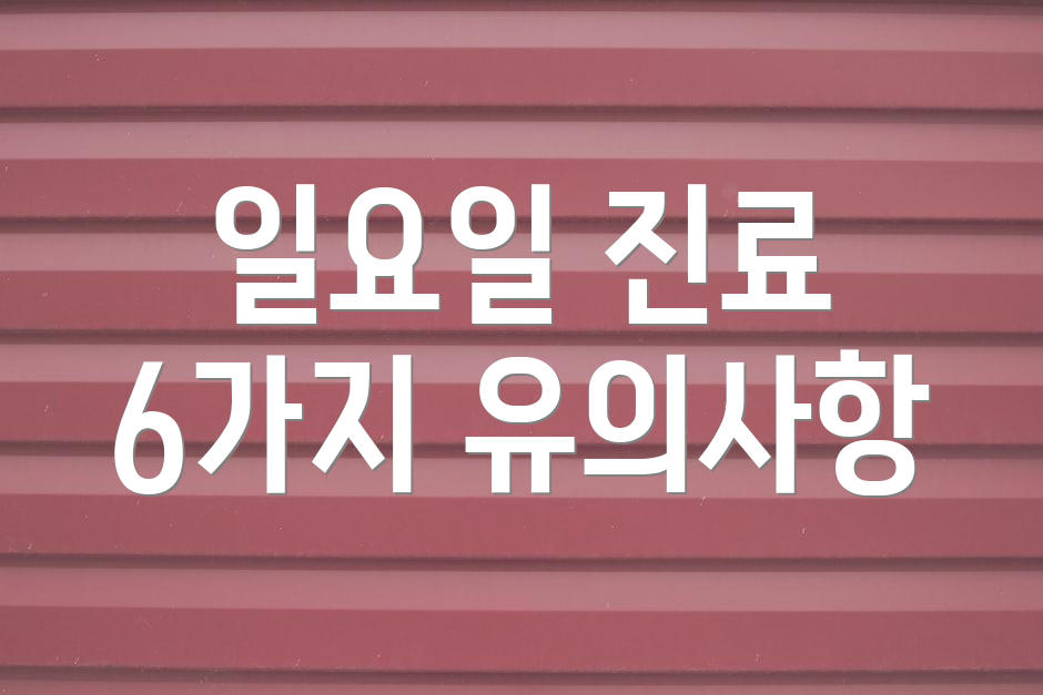 일요일 진료 6가지 유의사항