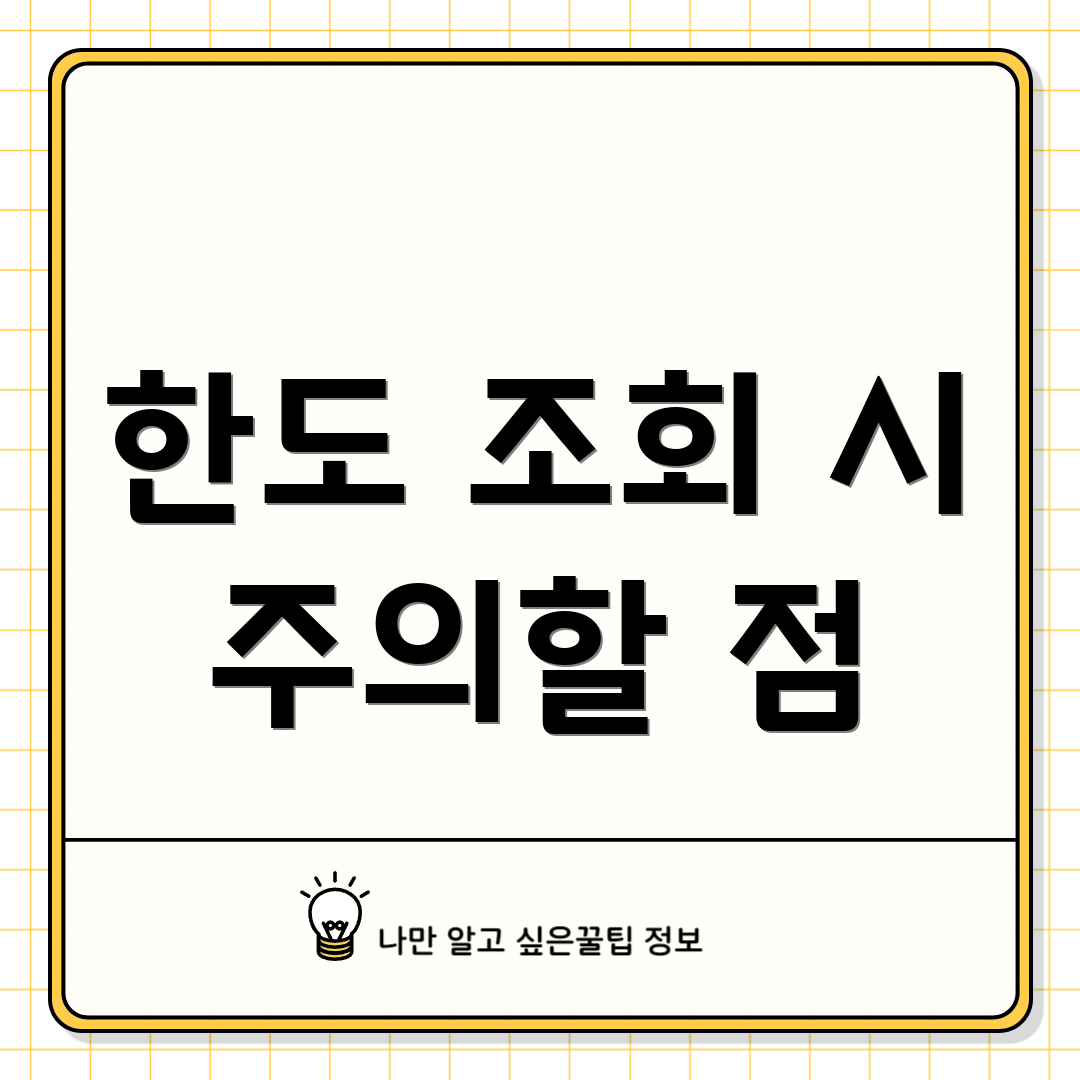 한도 조회 시 주의할 점