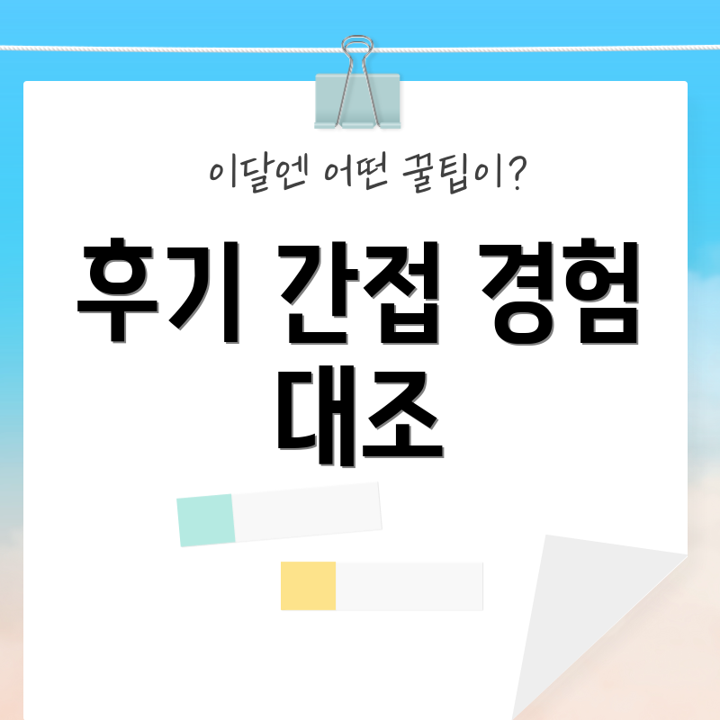 후기 간접 경험 대조