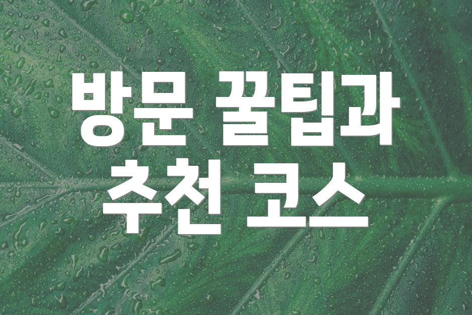 방문 꿀팁과 추천 코스