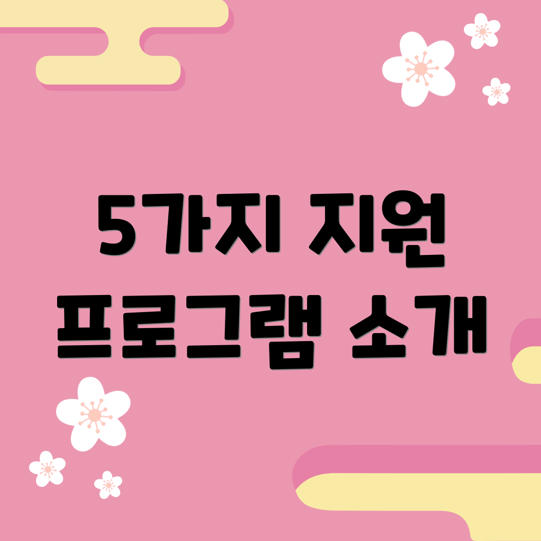 5가지 지원 프로그램 소개