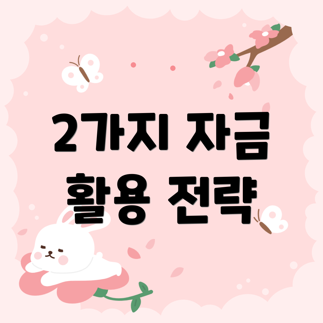 2가지 자금 활용 전략