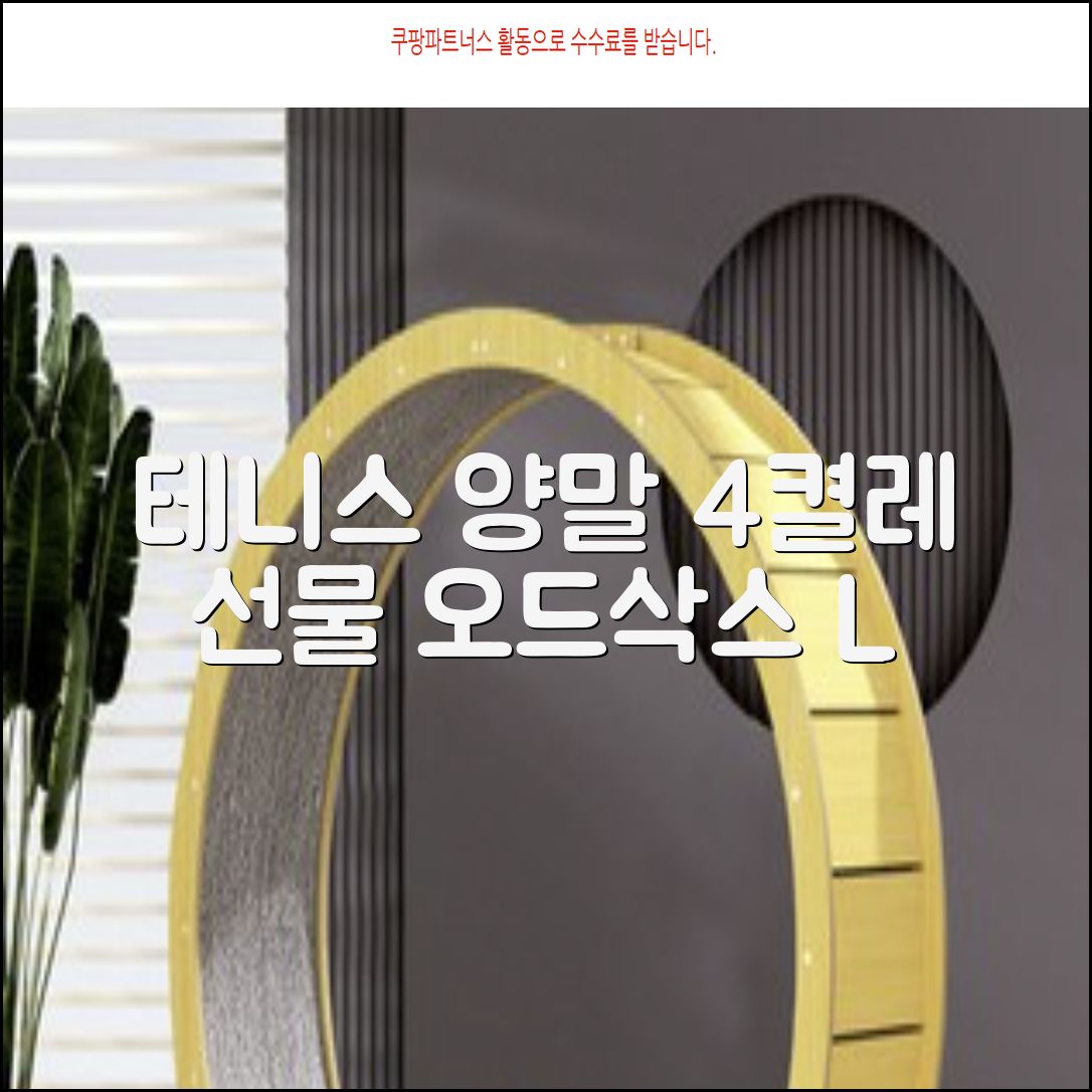 [오드삭스] 테니스 양말 세트B 4켤레 선물용, L(255mm-275mm), 1개 추천 리뷰
