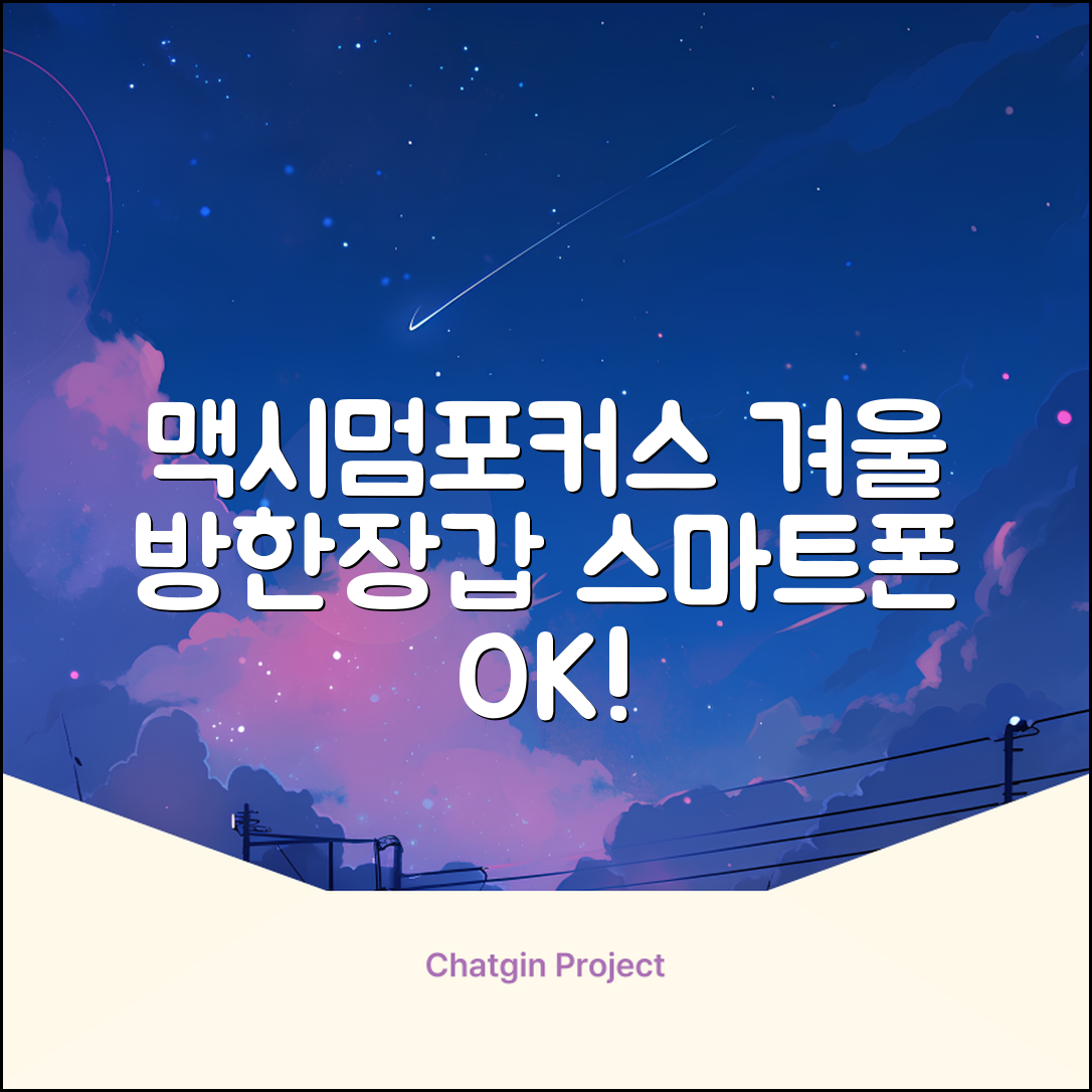 맥시멈포커스 스마트폰 터치 겨울 방한장갑 추천 리뷰