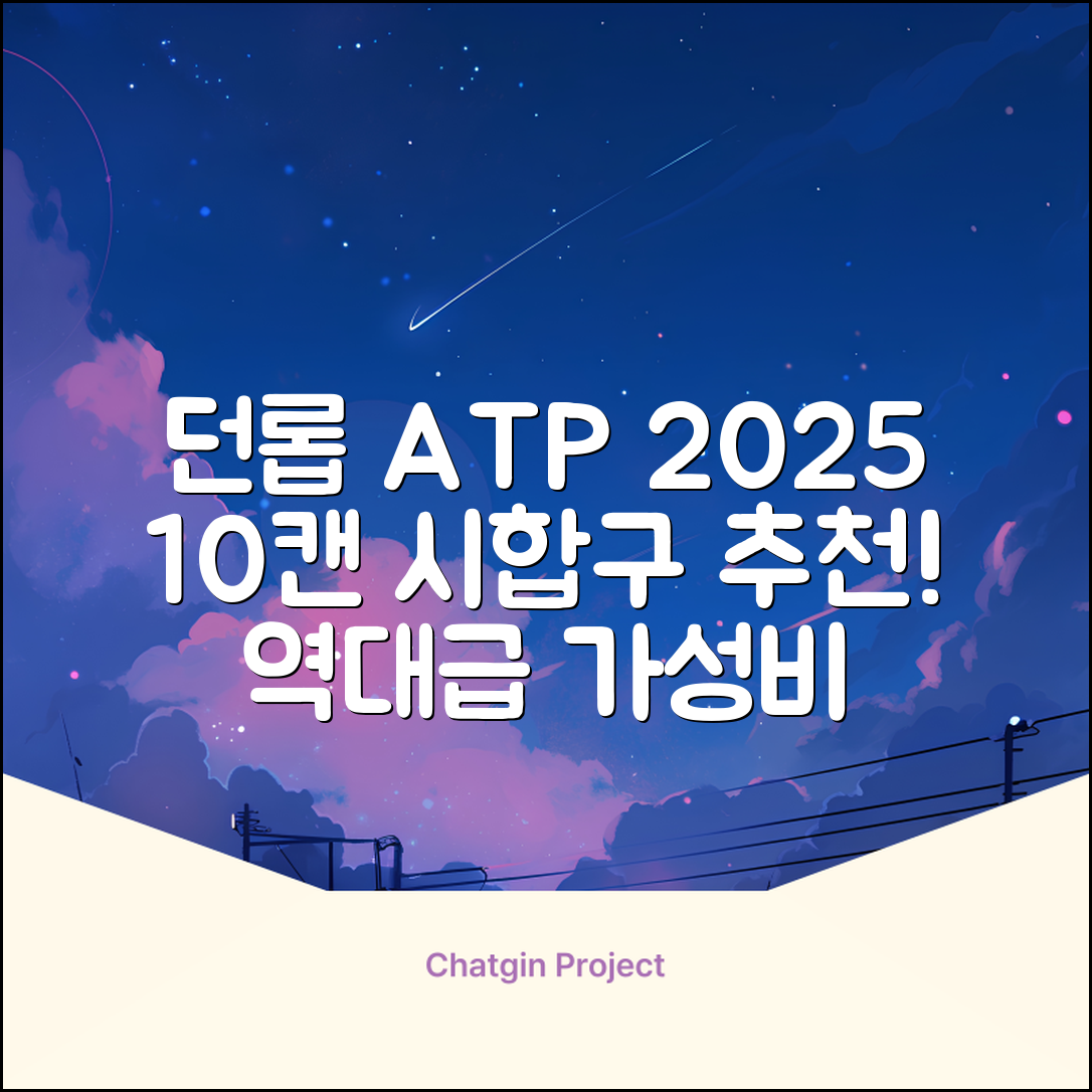 2025 던롭 ATP 테니스공 10캔 (20볼) 시합구, 던롭 ATP볼 10캔 (20볼), 10세트 추천 리뷰