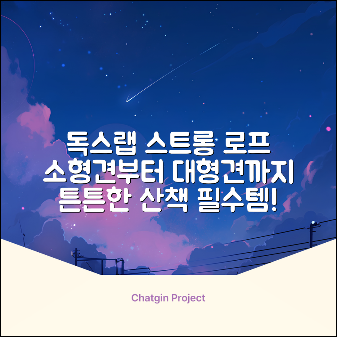 독스랩 1.5m 2m 3m 5m 스트롱 로프 소형견 중형견 대형견 줄 강아지 리드줄 산책줄, 블랙, 1개 추천 리뷰
