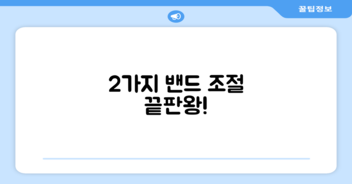 2가지 밴드 조절 가능