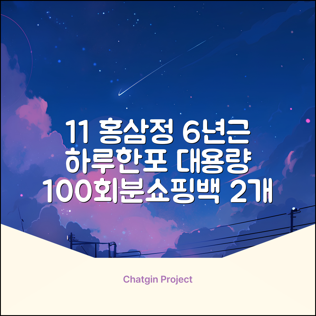 [1+1 특가] 홍삼정 6년근 하루한포 100회분 대용량+쇼핑백, 2개, 1L 추천 리뷰