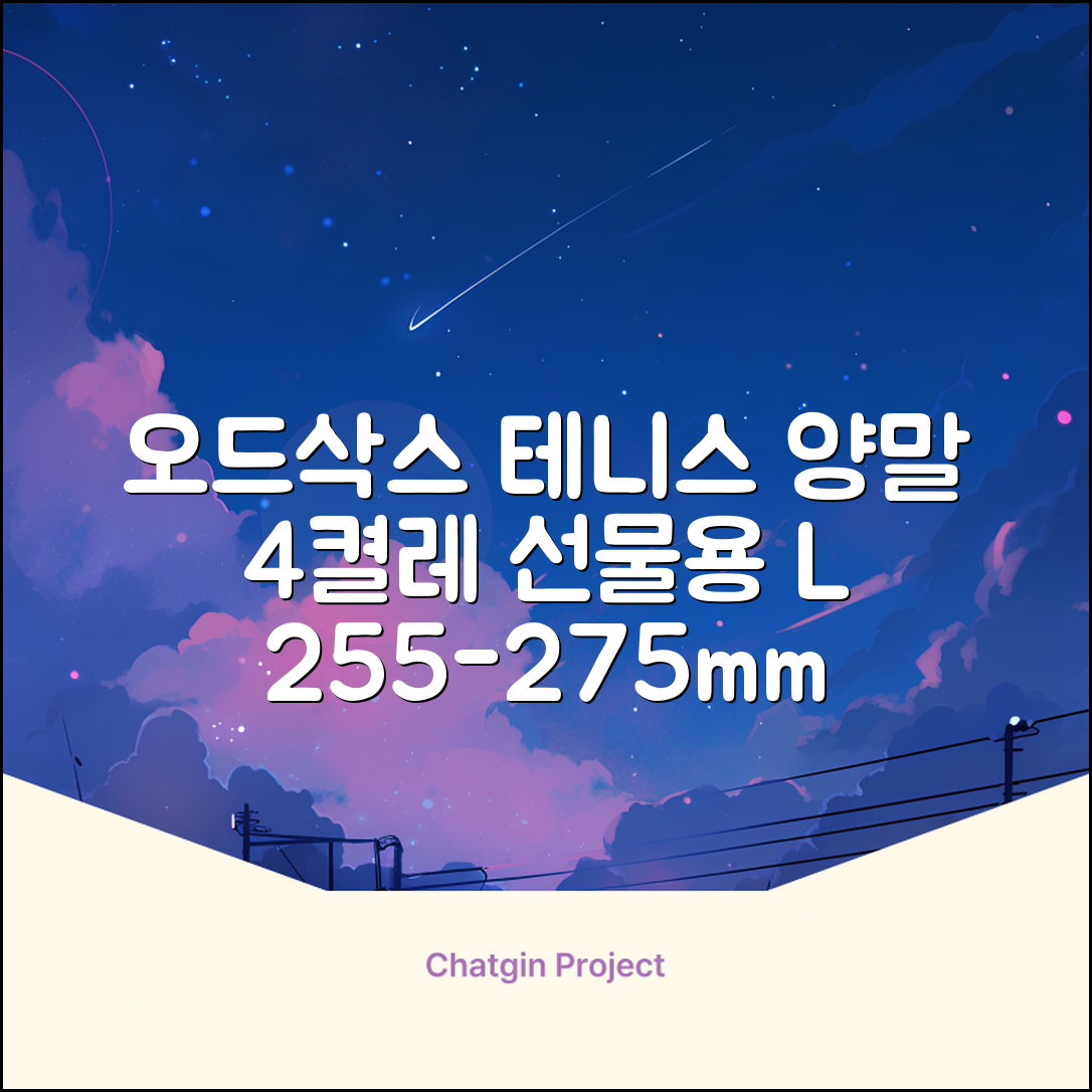 [오드삭스] 테니스 양말 세트B 4켤레 선물용, L(255mm-275mm), 1개 추천 리뷰