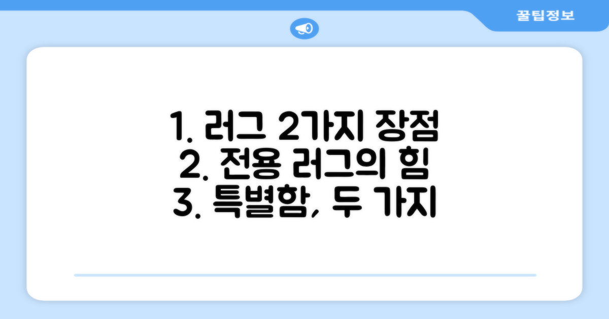 2가지 전용 러그 장점