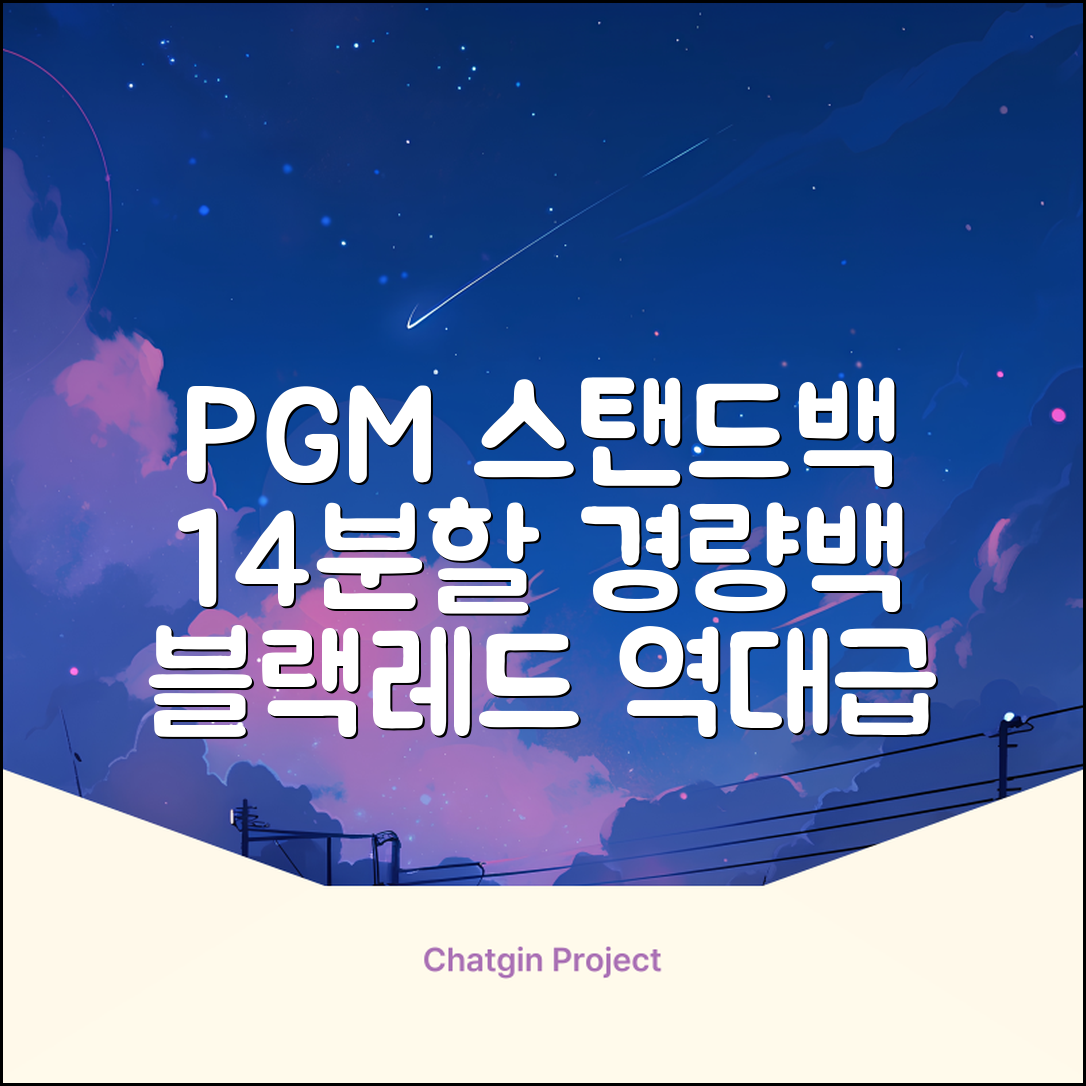 피지엠코리아 PGM 경량 14분할 골프백 스탠드백 캐디백, 블랙레드 추천 리뷰