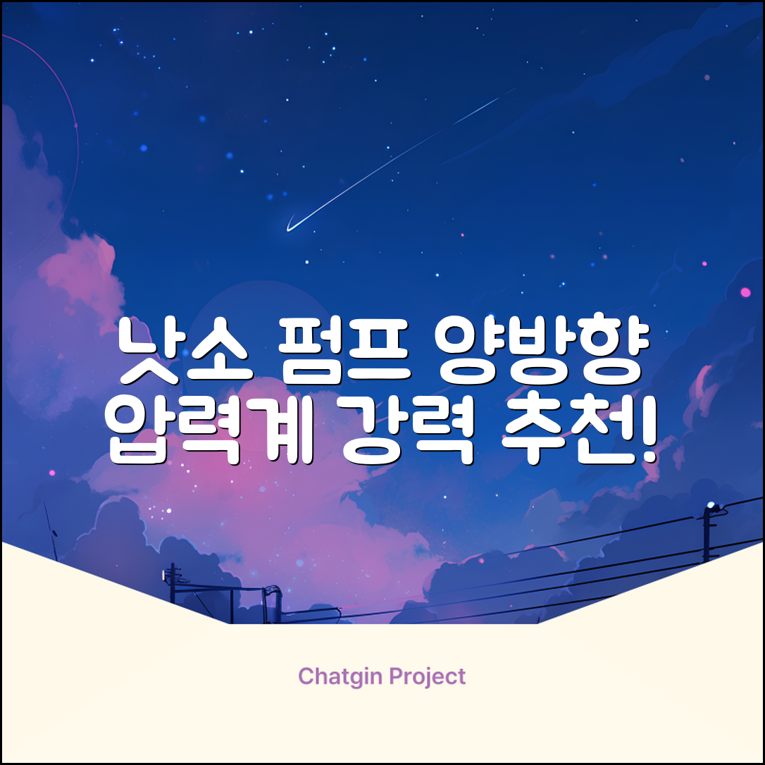 낫소 양방향 압력게이지 펌프, 블랙, 1개 추천 리뷰