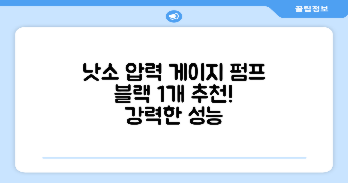 낫소 양방향 압력게이지 펌프, 블랙, 1개 추천 리뷰