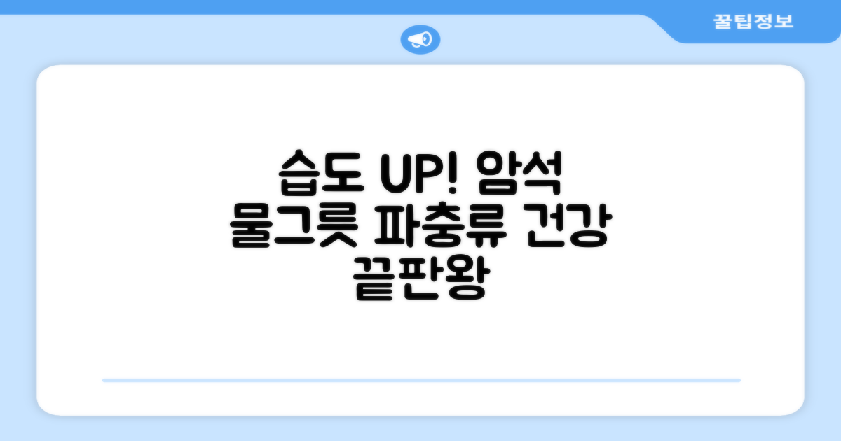 파충류 습도 유지, 암석 물그릇의 힘