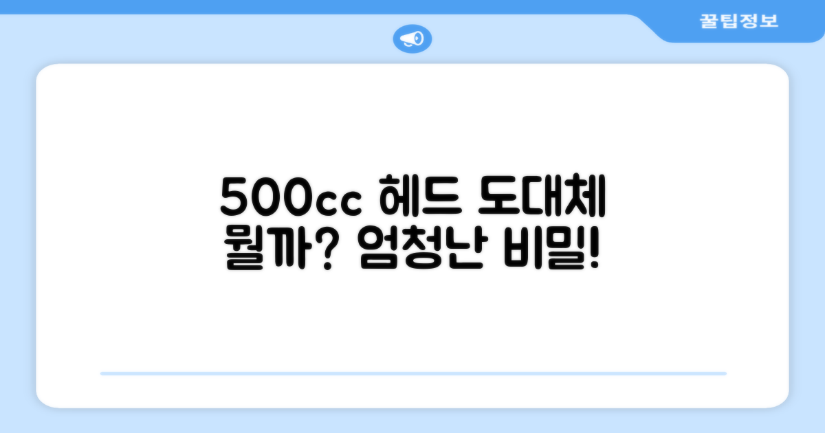500cc 헤드가 뭐길래?