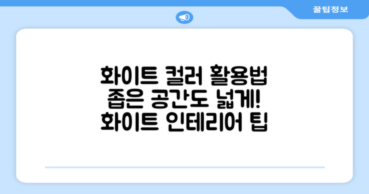 화이트 컬러 활용법